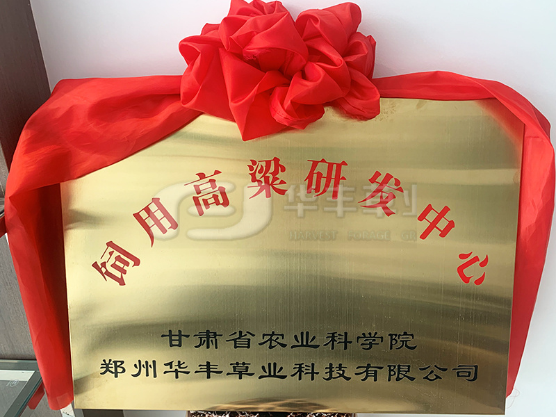 6966集团(中国)有限公司官网