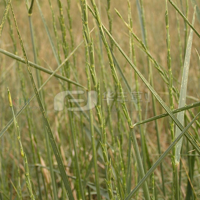 6966集团(中国)有限公司官网