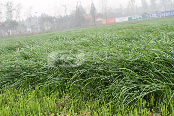 6966集团(中国)有限公司官网