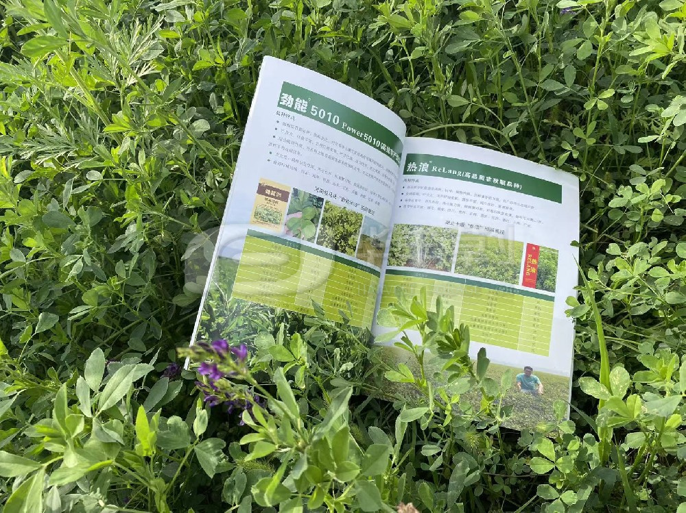 设置“饲草就是粮食”的大食品理想-第九届中国苜蓿大会召开