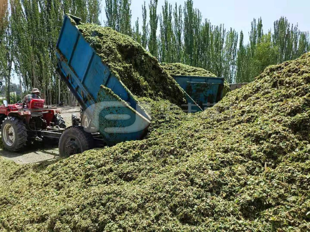 青贮饲料利用宽泛，你知路若何鉴定其品质曲直么？