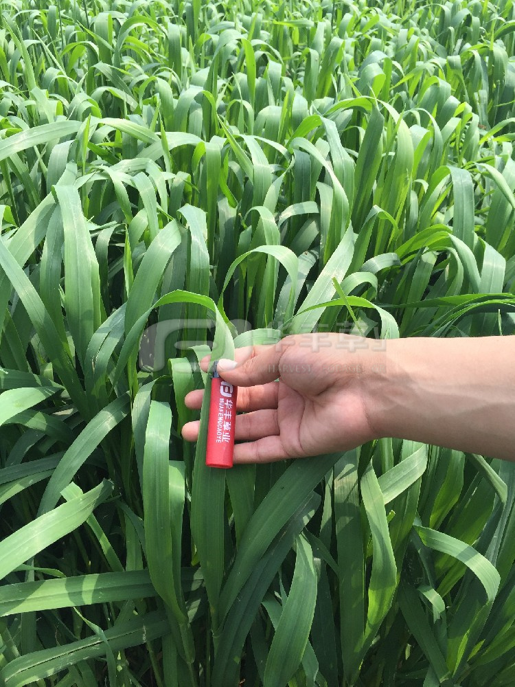 6966集团(中国)有限公司官网