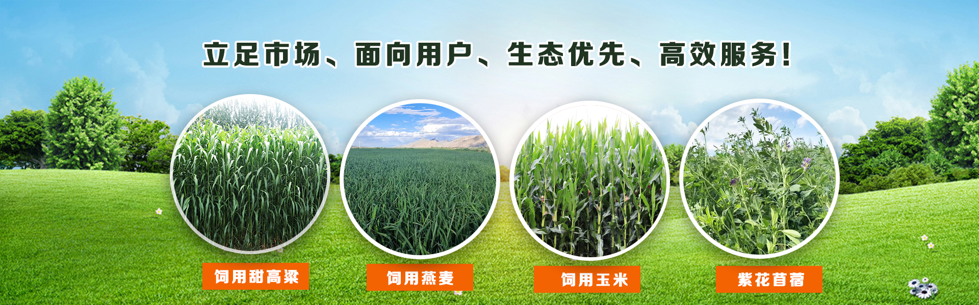 6966集团(中国)有限公司官网