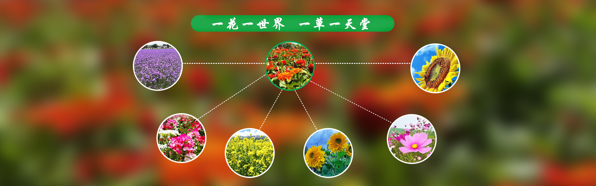 6966集团(中国)有限公司官网