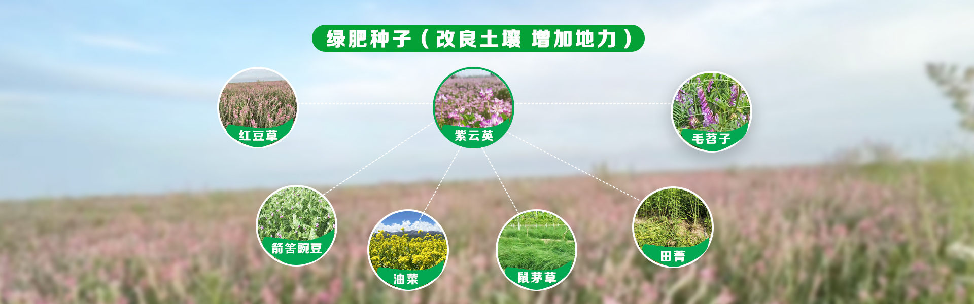 6966集团(中国)有限公司官网