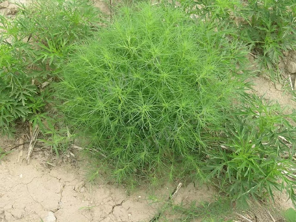 6966集团(中国)有限公司官网