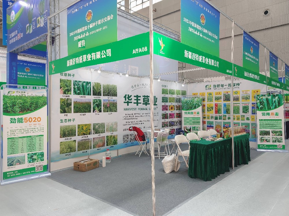 6966集团参与新疆第十届种子展示买卖会